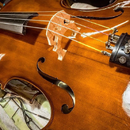 A STRING INSTRUMENT